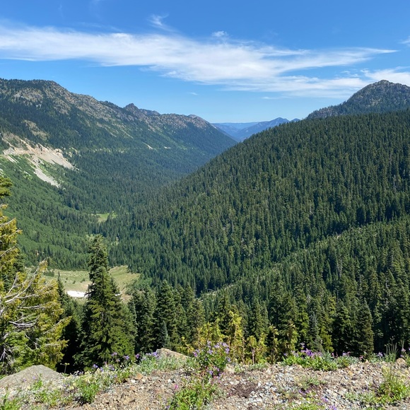 Meet your Posher, David - Picture 1 of 1